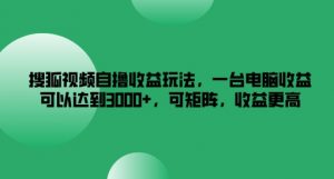 搜狐视频自撸收益玩法,一台电脑收益可以达到3k+,可矩阵,收益更高【揭秘】|淘骐网赚资源库