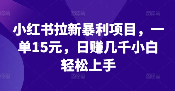小红书拉新暴利项目,一单15元,日赚几千小白轻松上手【揭秘】|淘骐网赚资源库