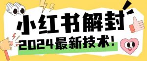 2024最新小红书账号封禁解封方法，无限释放手机号【揭秘】|淘骐网赚资源库