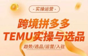 跨境拼多多TEMU实操与选品,多多temu跨境选品运营实操|淘骐网赚资源库