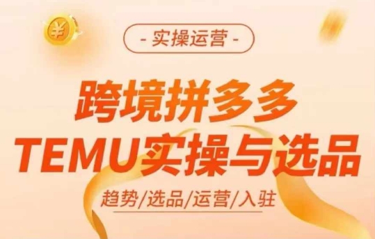 跨境拼多多TEMU实操与选品,多多temu跨境选品运营实操|淘骐网赚资源库