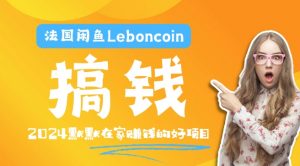 法国闲鱼Leboncoin跨境电商教程:环境邮箱电话解决产品上传及流量,悄悄赚钱【揭秘】|淘骐网赚资源库