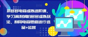 拼多多电商虚拟进阶课，学习高利润的多多虚拟玩法，利用电商思维进行选品+运营（更新）|淘骐网赚资源库