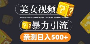 搬运tk美女视频全网分发，日引s粉300+，轻松变现，不限流量不封号【揭秘】|淘骐网赚资源库