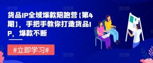货品IP全域爆款陪跑营【第4期】,手把手教你打造货品IP,爆款不断|淘骐网赚资源库