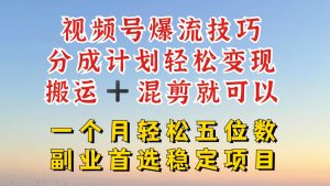 视频号分成最暴力赛道，几分钟出一条原创，最强搬运+混剪新方法，谁做谁爆【揭秘】|淘骐网赚资源库