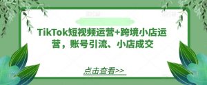 TikTok短视频运营+跨境小店运营,账号引流、小店成交|淘骐网赚资源库