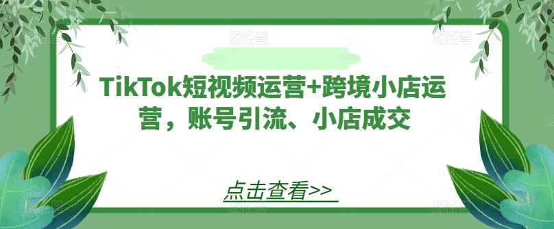 TikTok短视频运营+跨境小店运营,账号引流、小店成交|淘骐网赚资源库