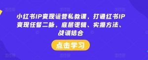 小红书IP变现运营私教课,打通红书IP变现任督二脉,底层逻辑、实操方法、战训结合|淘骐网赚资源库