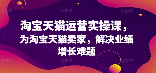 淘宝天猫运营实操课，为淘宝天猫卖家，解决业绩增长难题|第一资源库
