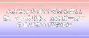 小红书IP打造60天实战营11期,5.0大升级,全网独一无二的自媒体IP打造课程|淘骐网赚资源库