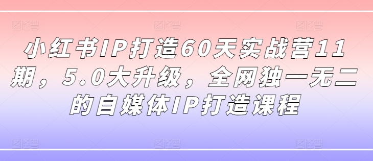 小红书IP打造60天实战营11期,5.0大升级,全网独一无二的自媒体IP打造课程|淘骐网赚资源库