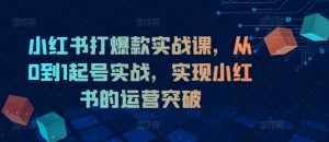 小红书打爆款实战课,从0到1起号实战,实现小红书的运营突破|淘骐网赚资源库