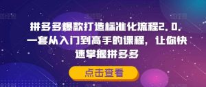 拼多多爆款打造标准化流程2.0,一套从入门到高手的课程,让你快速掌握拼多多|淘骐网赚资源库