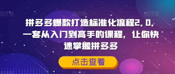 拼多多爆款打造标准化流程2.0,一套从入门到高手的课程,让你快速掌握拼多多|淘骐网赚资源库