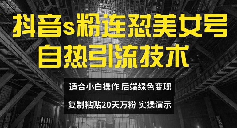 抖音s粉连怼美女号自热引流技术复制粘贴,20天万粉账号,无需实名制,矩阵操作【揭秘】|淘骐网赚资源库
