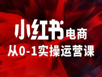 小红书电商从0-1实操运营课,让你从小白到精英|淘骐网赚资源库