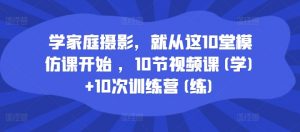学家庭摄影，就从这10堂模仿课开始 ，10节视频课(学)+10次训练营(练)|淘骐网赚资源库