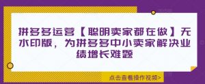 拼多多运营【聪明卖家都在做】无水印版，为拼多多中小卖家解决业绩增长难题|淘骐网赚资源库