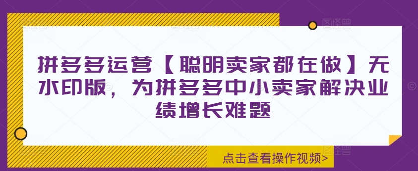 拼多多运营【聪明卖家都在做】无水印版，为拼多多中小卖家解决业绩增长难题|淘骐网赚资源库