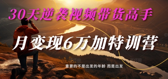 30天逆袭视频带货高手,单月变现6万加特训营-麦子甜|淘骐网赚资源库