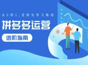 拼多多运营进阶指南,从0到1定制化学习路线|淘骐网赚资源库