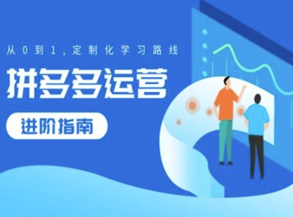 拼多多运营进阶指南,从0到1定制化学习路线|淘骐网赚资源库