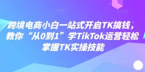 跨境电商小白一站式开启TK搞钱，教你“从0到1”学TikTok运营轻松掌握TK实操技能|淘骐网赚资源库