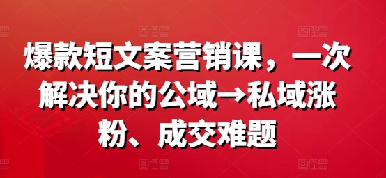 爆款短文案营销课,一次解决你的公域→私域涨粉、成交难题|淘骐网赚资源库