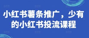 小红书薯条推广,少有的小红书投流课程|淘骐网赚资源库