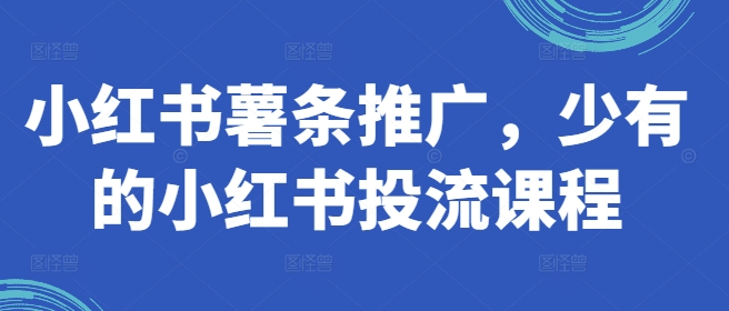小红书薯条推广,少有的小红书投流课程|淘骐网赚资源库