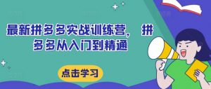 最新拼多多实战训练营, 拼多多从入门到精通|淘骐网赚资源库