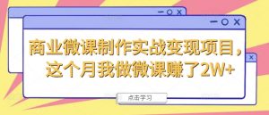 商业微课制作实战变现项目，这个月我做微课赚了2W+|淘骐网赚资源库