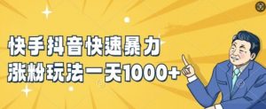 快手抖音快速暴力涨粉玩法，新手小白也能学会，一天1k+【揭秘】|淘骐网赚资源库
