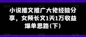 小说推文推广大佬经验分享,女频长文1天1万收益爆单思路(下)|淘骐网赚资源库