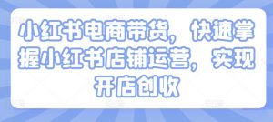 小红书电商带货,快速掌握小红书店铺运营,实现开店创收|淘骐网赚资源库