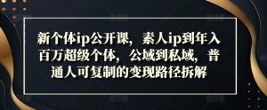 新个体ip公开课，素人ip到年入百万超级个体，公域到私域，普通人可复制的变现路径拆解|淘骐网赚资源库