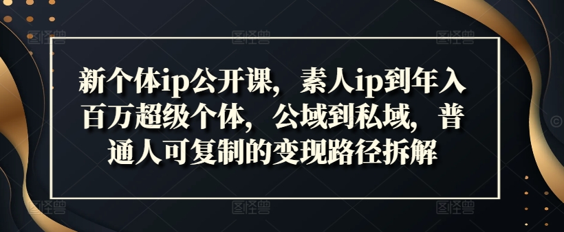 新个体ip公开课,素人ip到年入百万超级个体,公域到私域,普通人可复制的变现路径拆解|淘骐网赚资源库