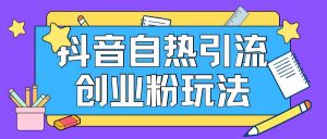 抖音引流创业粉自热玩法日引200+精准粉|淘骐网赚资源库