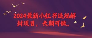 2024最新小红书违规解封项目，长期可做，一个可以做到退休的项目【揭秘】|第一资源库