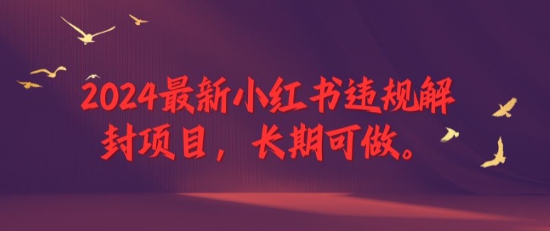 2024最新小红书违规解封项目,长期可做,一个可以做到退休的项目【揭秘】|第一资源库