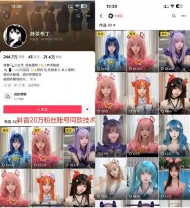 云天二次元美女起号教学，月涨10万粉丝，不判搬运|淘骐网赚资源库