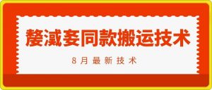 抖音96万粉丝账号【嫠㵄㚣】同款搬运技术|淘骐网赚资源库