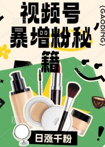 视频号涨粉方法,暴力起号,一天涨粉1000+,当天开橱窗【揭秘】|淘骐网赚资源库