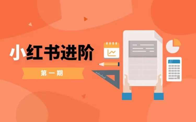 小红书进阶篇,零基础小白实战课,普通人变现的课程|淘骐网赚资源库