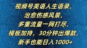 视频号英语人生语录,多重流量一网打尽,模板加持,30分钟出爆款,新手也能日入1000+【揭秘】|淘骐网赚资源库