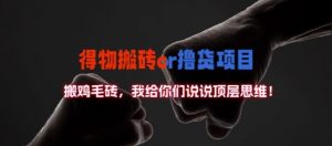 得物搬砖撸货项目?掰下数据,我给你们说说顶层思维【揭秘】|淘骐网赚资源库