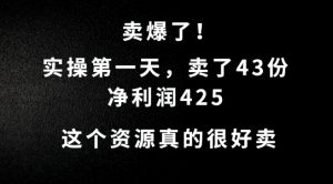 这个资源,需求很大,实操第一天卖了43份,净利润425【揭秘】|淘骐网赚资源库