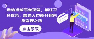 微信视频号变现营,抓住平台优势,普通人也能开启带货变现之路|淘骐网赚资源库