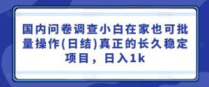 国内问卷调查小白在家也可批量操作(日结)真正的长久稳定项目，日入1k【揭秘】|淘骐网赚资源库